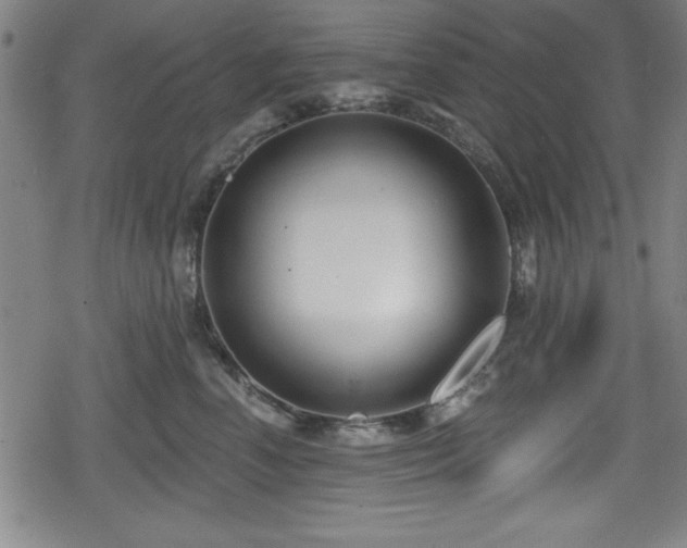 X0000078890666200611131231