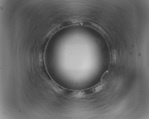 X0000078890667200611131231