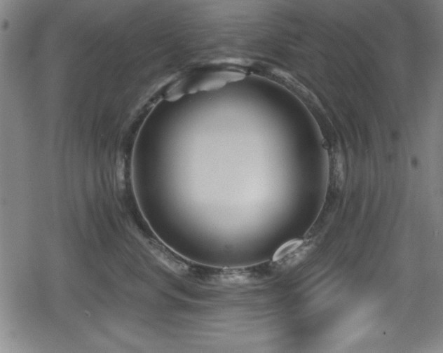 X0000078890668200611131231