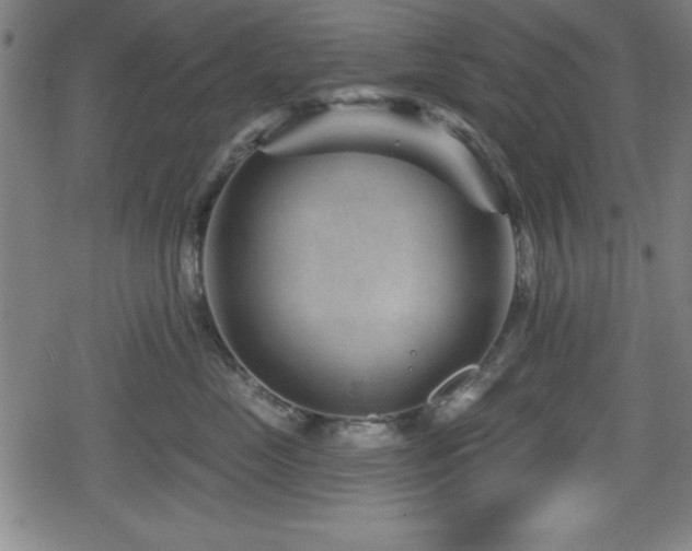 X0000078890669200611131231