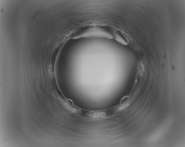 X0000078890670200611131231