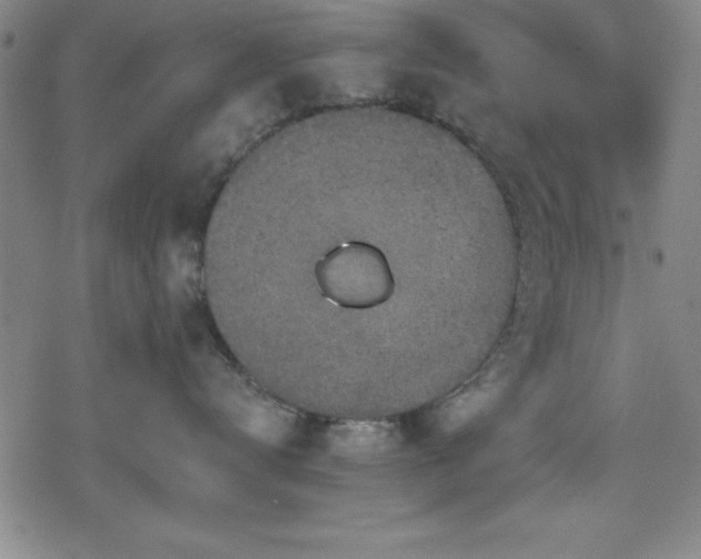 X0000078890672200611131231