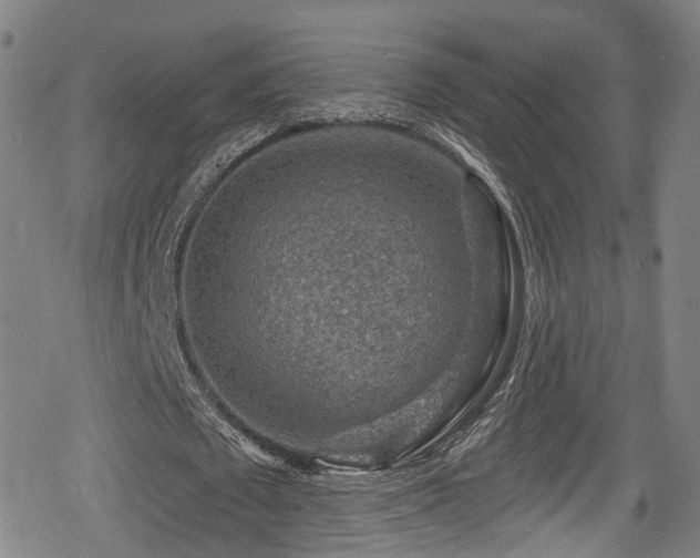 X0000078890673200611131230