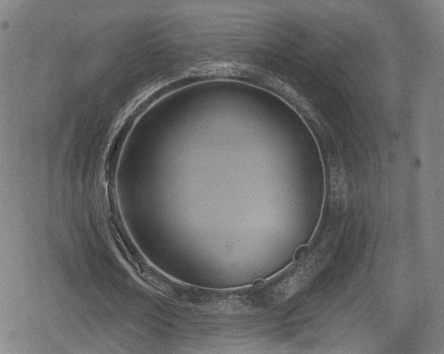 X0000078890674200611131230