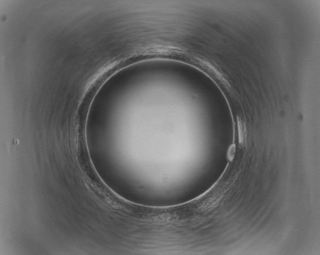 X0000078890675200611131230