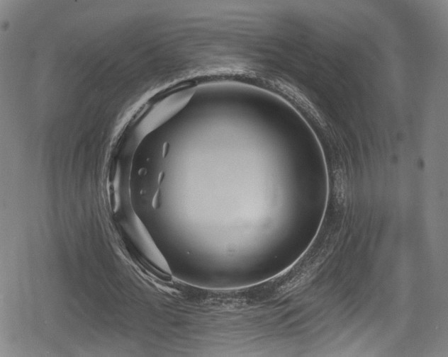 X0000078890676200611131230