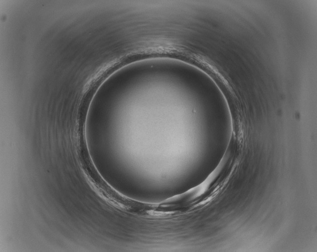 X0000078890677200611131230