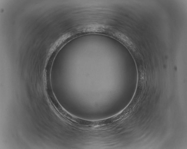 X0000078890678200611131230