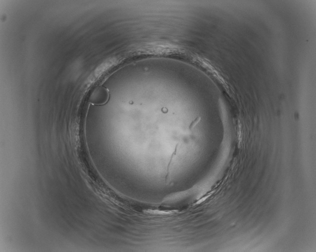 X0000078890679200611131230