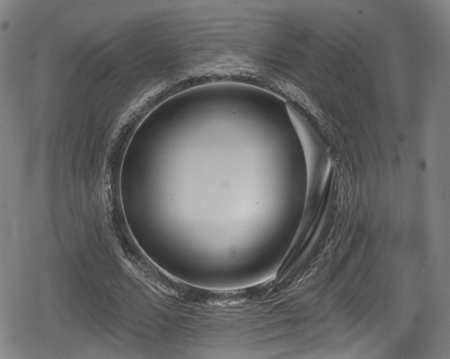 X0000078890680200611131230