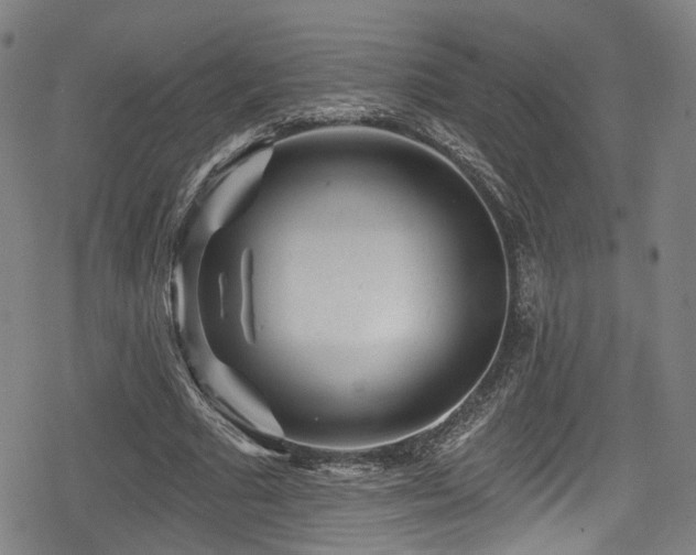 X0000078890681200611131230