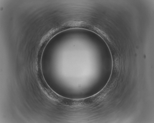 X0000078890682200611131230