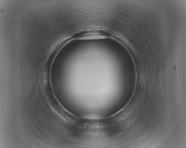 X0000078890683200611131230