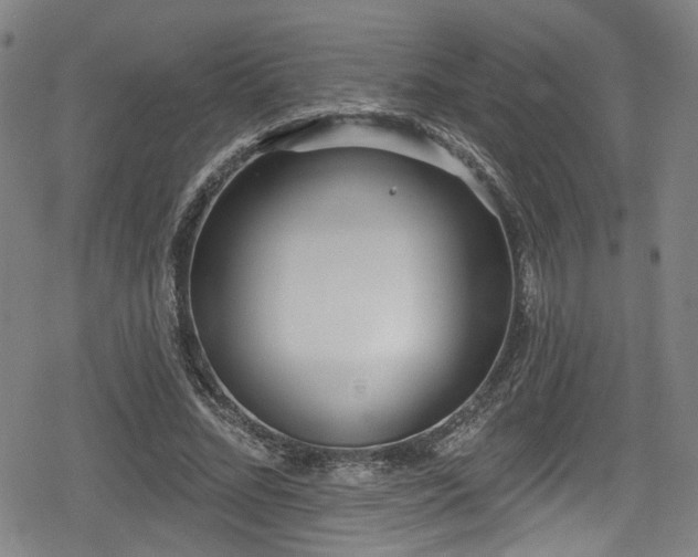 X0000078890684200611131230