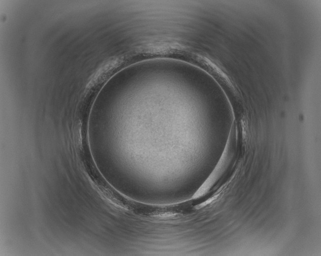 X0000078890685200611131230