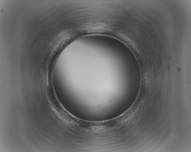 X0000078890686200611131230