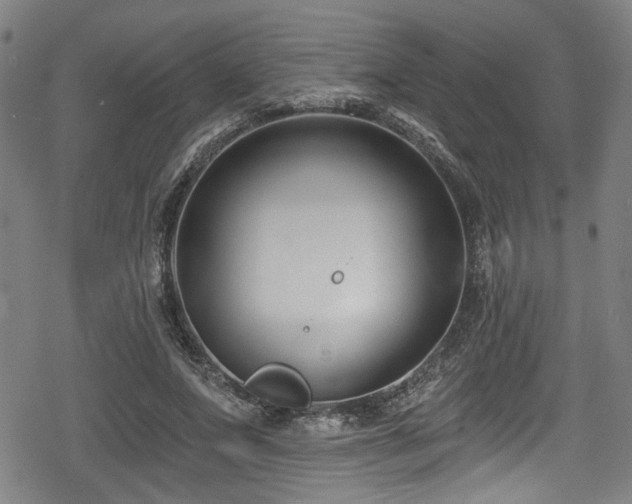 X0000078890687200611131230