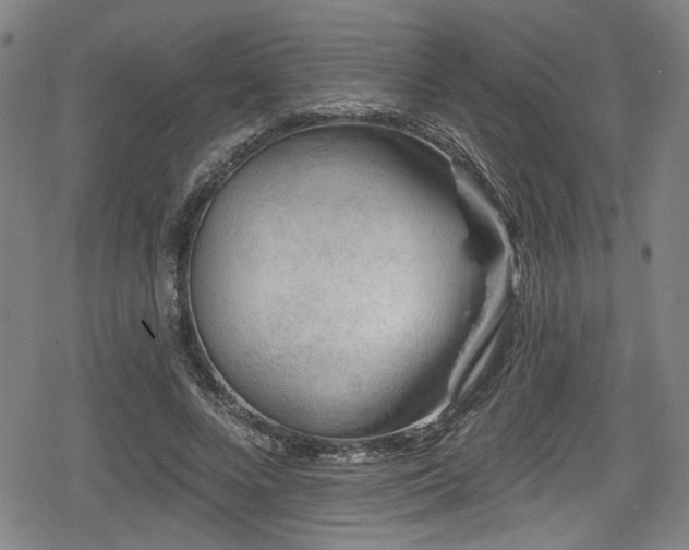 X0000078890688200611131230