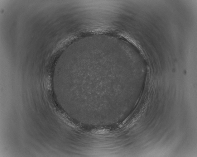 X0000078890689200611131230