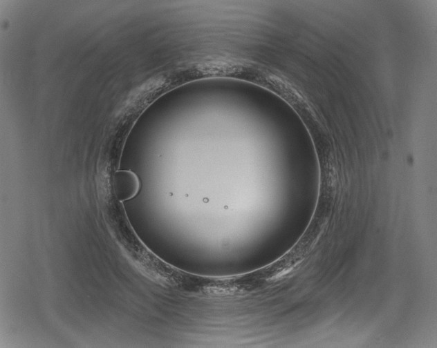 X0000078890690200611131230