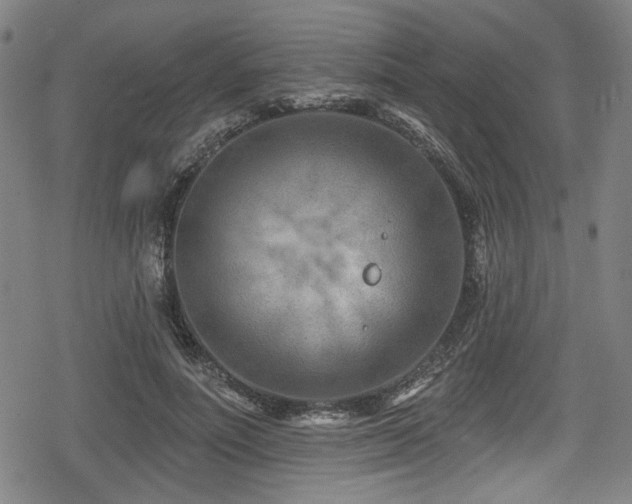 X0000078890691200611131230