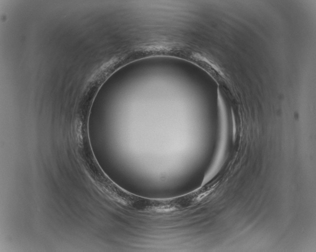 X0000078890692200611131230