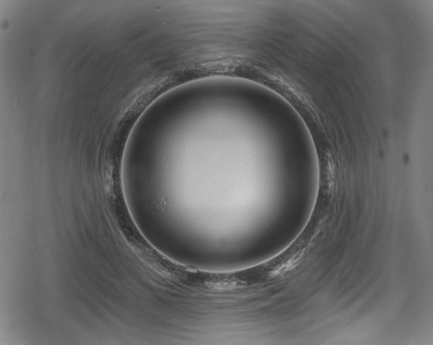 X0000078890693200611131230