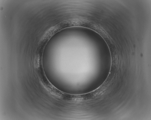 X0000078890694200611131230