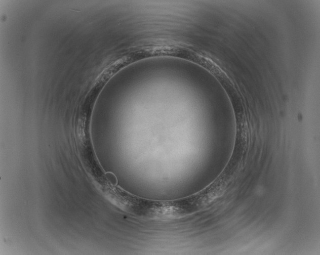 X0000078890695200611131230