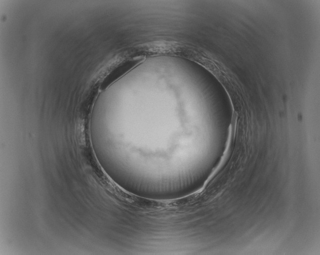 X0000078890696200611131230