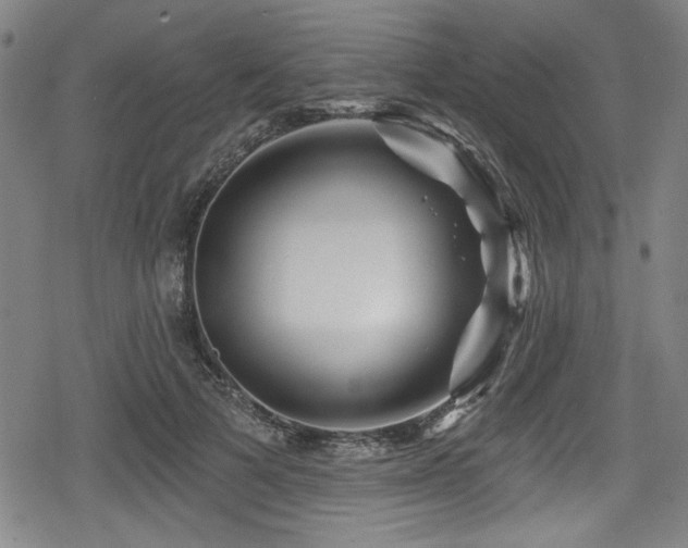 X0000078890697200611131230