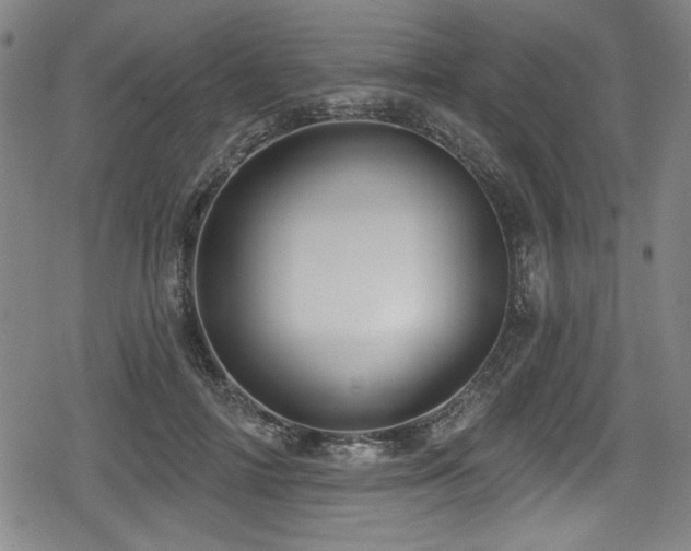 X0000078890698200611131230