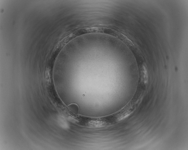 X0000078890699200611131230