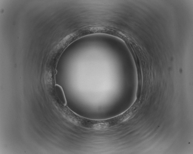 X0000078890700200611131230