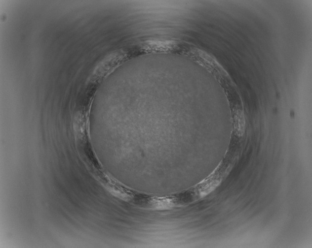 X0000078890701200611131230