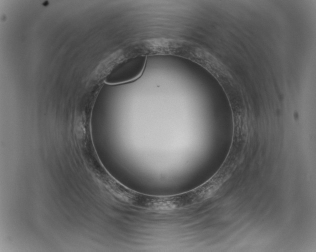 X0000078890702200611131230