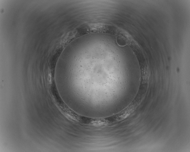 X0000078890703200611131230