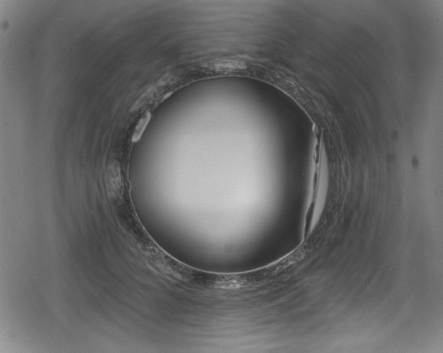 X0000078890704200611131230