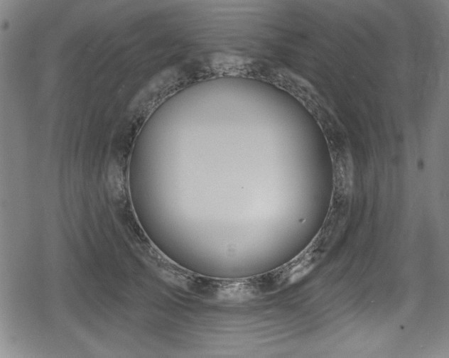 X0000078890705200611131230