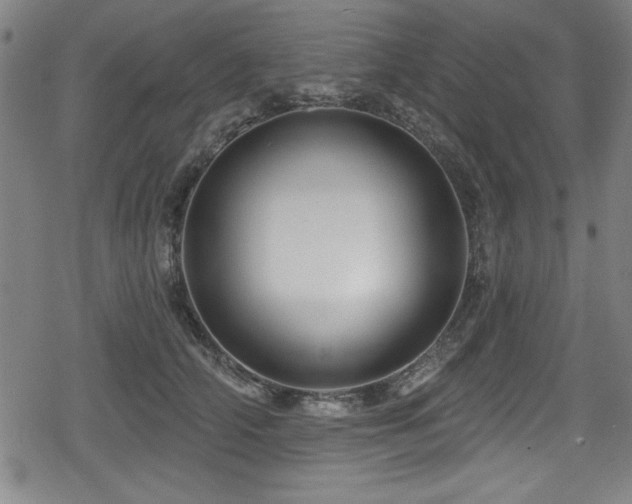 X0000078890706200611131230