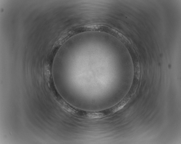 X0000078890707200611131230