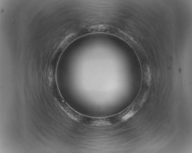 X0000078890708200611131230