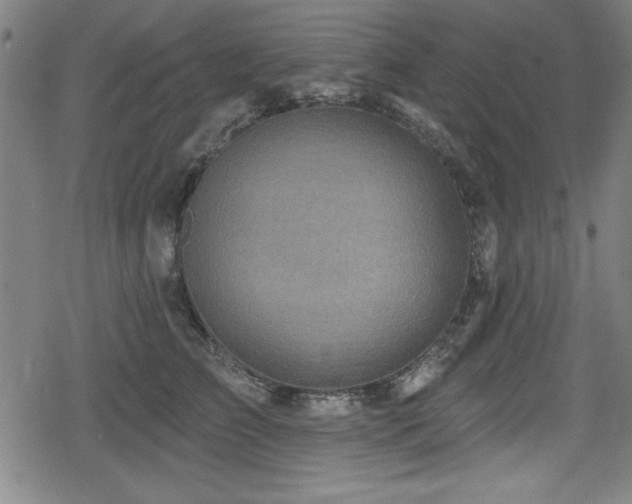 X0000078890709200611131230