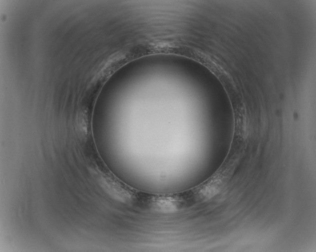 X0000078890710200611131230