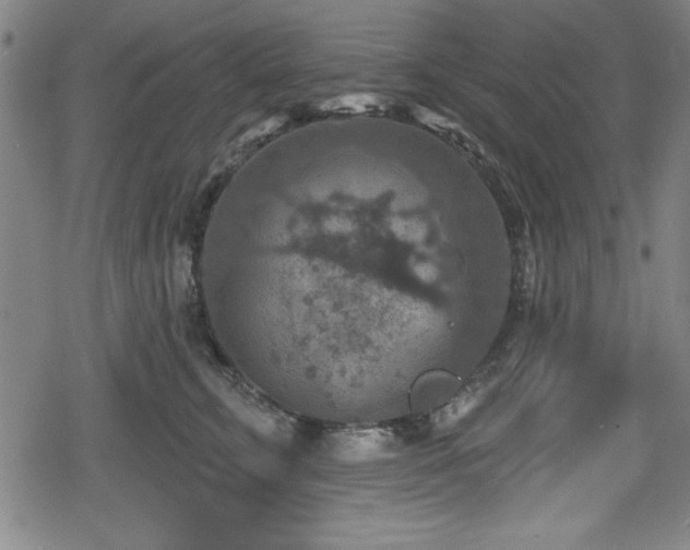 X0000078890711200611131230