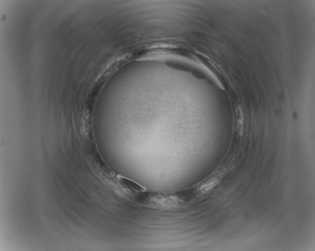 X0000078890712200611131230