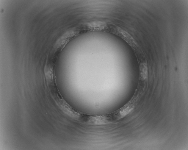 X0000078890713200611131230