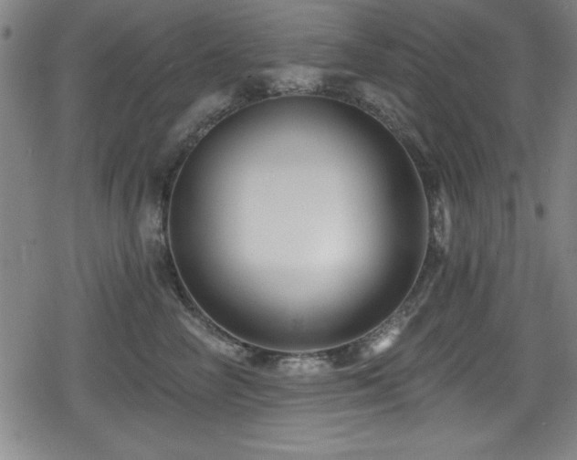 X0000078890714200611131230