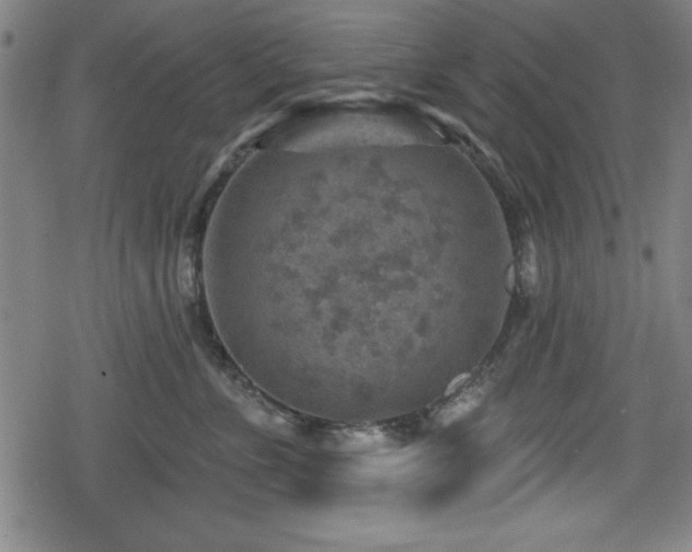 X0000078890715200611131230