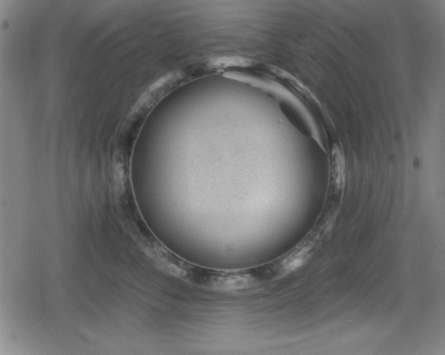 X0000078890716200611131230